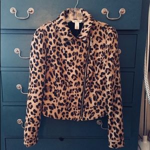 White House Black Market Jacquard Moto Jacket